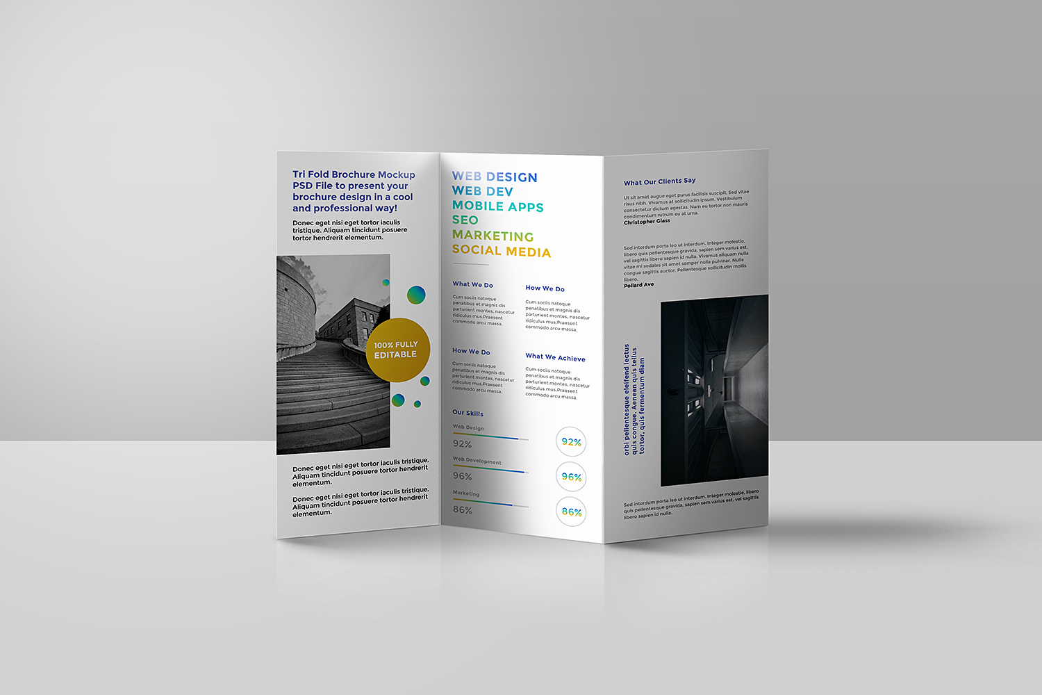 Tri-Fold Brochure